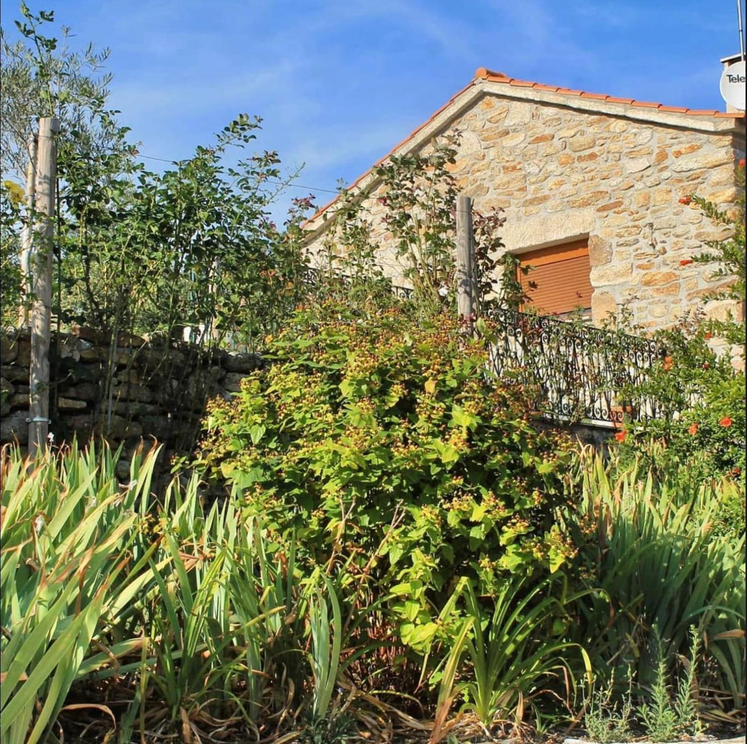 Lirios Da Granja - Casa De Campo Exterior photo